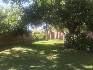 Terreno en venta en San Luciano, Torreón, Coahuila de Zaragoza Terreno en venta en San Luciano, Torreón, Coahuila de Zaragoza
