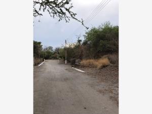 Terreno en venta en Tlatenchi, Jojutla, Morelos Terreno en venta en Tlatenchi, Jojutla, Morelos
