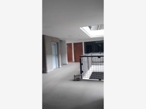 Departamento en renta en San Juan, Benito Juárez, Ciudad de México Departamento en renta en San Juan, Benito Juárez, Ciudad de México