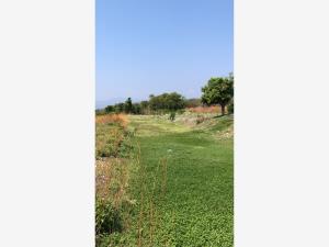 Terreno en venta en Tlaquiltenango, Tlaquiltenango, Morelos Terreno en venta en Tlaquiltenango, Tlaquiltenango, Morelos