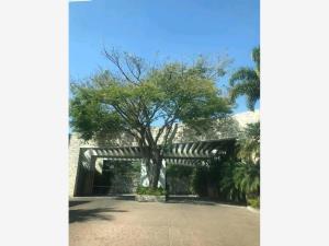 Terreno en venta en El Mascareño, Cuernavaca, Morelos Terreno en venta en El Mascareño, Cuernavaca, Morelos