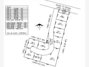 Terreno en venta en Zerezotla, San Pedro Cholula, Puebla Terreno en venta en Zerezotla, San Pedro Cholula, Puebla