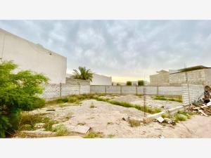 Terreno en venta en Las Trojes, Torreón, Coahuila de Zaragoza Terreno en venta en Las Trojes, Torreón, Coahuila de Zaragoza
