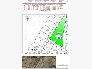Terreno en venta en Nogueras, Comala, Colima Terreno en venta en Nogueras, Comala, Colima