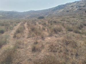 Terreno en venta en Valle Redondo, Tijuana, Baja California Terreno en venta en Valle Redondo, Tijuana, Baja California