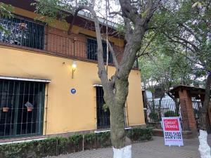 Oficina en renta en Florida, Álvaro Obregón, Ciudad de México Oficina en renta en Florida, Álvaro Obregón, Ciudad de México