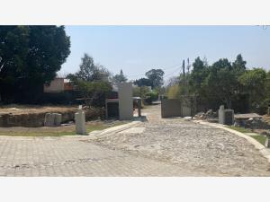 Terreno en venta en Lomas de Tetela, Cuernavaca, Morelos Terreno en venta en Lomas de Tetela, Cuernavaca, Morelos