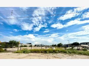 Terreno en renta en Jabonoso, Gómez Palacio, Durango Terreno en renta en Jabonoso, Gómez Palacio, Durango