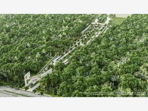 Terreno en venta en Xpu Ha, Solidaridad, Quintana Roo Terreno en venta en Xpu Ha, Solidaridad, Quintana Roo