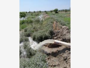 Terreno en venta en San Francisco del Progreso, Parras, Coahuila de Zaragoza Terreno en venta en San Francisco del Progreso, Parras, Coahuila de Zaragoza