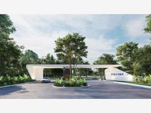 Terreno en venta en Dzitya, Mérida, Yucatán Terreno en venta en Dzitya, Mérida, Yucatán