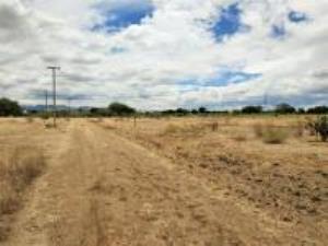 Terreno en venta en Nuevo San Isidro, San Juan del Río, Querétaro Terreno en venta en Nuevo San Isidro, San Juan del Río, Querétaro