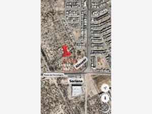 Terreno en venta en Monte Real, Torreón, Coahuila de Zaragoza Terreno en venta en Monte Real, Torreón, Coahuila de Zaragoza
