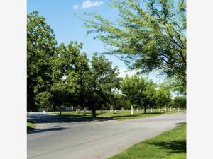 Terreno en venta en Las Trojes, Torreón, Coahuila de Zaragoza Terreno en venta en Las Trojes, Torreón, Coahuila de Zaragoza