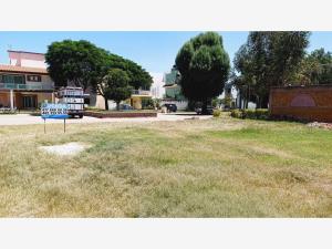 Terreno en venta en San Antonio de Ayala, Irapuato, Guanajuato Terreno en venta en San Antonio de Ayala, Irapuato, Guanajuato