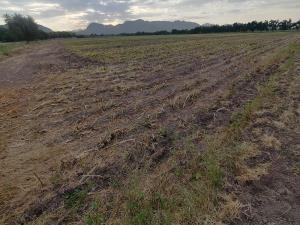 Terreno en venta en Quintas San Isidro, Lerdo, Durango Terreno en venta en Quintas San Isidro, Lerdo, Durango