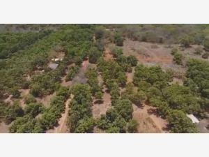 Terreno en venta en San Blas Centro, San Blas, Nayarit Terreno en venta en San Blas Centro, San Blas, Nayarit
