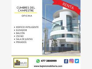 Oficina en renta en Cumbres del Campestre, León, Guanajuato Oficina en renta en Cumbres del Campestre, León, Guanajuato