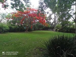 Terreno en venta en Lomas de Jiutepec, Jiutepec, Morelos Terreno en venta en Lomas de Jiutepec, Jiutepec, Morelos