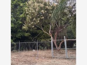 Terreno en venta en Las Granjas, Cuernavaca, Morelos Terreno en venta en Las Granjas, Cuernavaca, Morelos