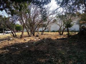 Terreno en venta en Las Fincas, Jiutepec, Morelos Terreno en venta en Las Fincas, Jiutepec, Morelos