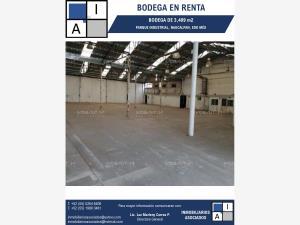 Bodega en renta en San Francisco Cuautlalpan, Naucalpan de Juárez, México Bodega en renta en San Francisco Cuautlalpan, Naucalpan de Juárez, México