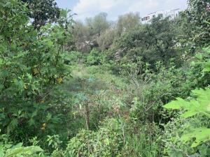 Terreno en venta en Valle Imperial, Zapopan, Jalisco Terreno en venta en Valle Imperial, Zapopan, Jalisco