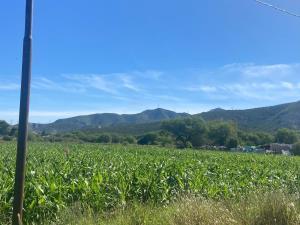 Terreno en venta en Carlos Real (San Carlos), Lerdo, Durango Terreno en venta en Carlos Real (San Carlos), Lerdo, Durango