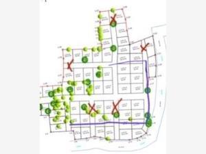 Terreno en venta en Tetecala, Tetecala, Morelos Terreno en venta en Tetecala, Tetecala, Morelos