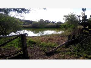 Terreno en venta en Los Olvera, Corregidora, Querétaro Terreno en venta en Los Olvera, Corregidora, Querétaro