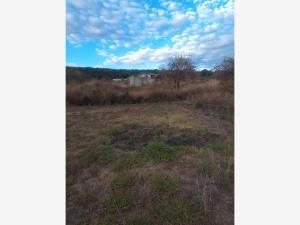 Terreno en venta en Ocotepec, Cuernavaca, Morelos Terreno en venta en Ocotepec, Cuernavaca, Morelos