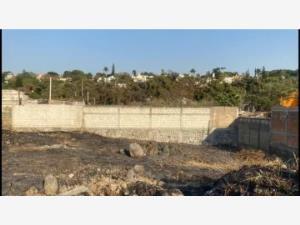 Terreno en venta en Chamilpa, Cuernavaca, Morelos Terreno en venta en Chamilpa, Cuernavaca, Morelos