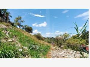 Terreno en venta en Club de Golf, Cuernavaca, Morelos Terreno en venta en Club de Golf, Cuernavaca, Morelos