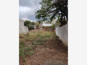 Terreno en venta en Lomas de Cortes, Cuernavaca, Morelos Terreno en venta en Lomas de Cortes, Cuernavaca, Morelos