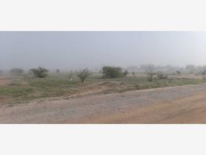 Terreno en venta en Hormiguero, Matamoros, Coahuila de Zaragoza Terreno en venta en Hormiguero, Matamoros, Coahuila de Zaragoza
