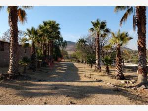 Finca-Rancho en venta en El Milagro, Huimilpan, Querétaro Finca-Rancho en venta en El Milagro, Huimilpan, Querétaro