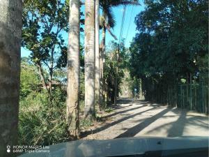 Terreno en venta en La Bocana (Dos Bocas), Medellín de Bravo, Veracruz de Ignacio de la Llave Terreno en venta en La Bocana (Dos Bocas), Medellín de Bravo, Veracruz de Ignacio de la Llave