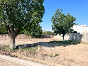 Terreno en venta en Las Trojes, Torreón, Coahuila de Zaragoza Terreno en venta en Las Trojes, Torreón, Coahuila de Zaragoza