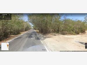 Terreno en venta en Matanchén (La Aguada), San Blas, Nayarit Terreno en venta en Matanchén (La Aguada), San Blas, Nayarit