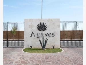 Terreno en venta en El Cardenchal, Torreón, Coahuila de Zaragoza Terreno en venta en El Cardenchal, Torreón, Coahuila de Zaragoza