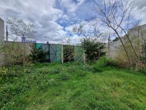 Terreno en renta en Alfredo del Mazo, Ecatepec de Morelos, México Terreno en renta en Alfredo del Mazo, Ecatepec de Morelos, México