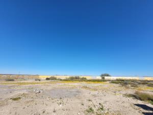 Terreno en venta en Parras, Parras, Coahuila de Zaragoza Terreno en venta en Parras, Parras, Coahuila de Zaragoza