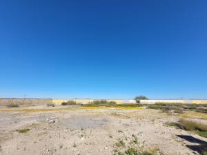 Terreno en venta en Paila, Parras, Coahuila de Zaragoza Terreno en venta en Paila, Parras, Coahuila de Zaragoza