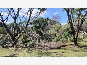Terreno en venta en Buenavista, Cuernavaca, Morelos Terreno en venta en Buenavista, Cuernavaca, Morelos