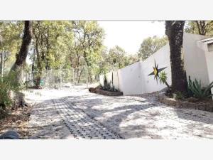 Terreno en venta en Los Ocotes, Tepoztlán, Morelos Terreno en venta en Los Ocotes, Tepoztlán, Morelos