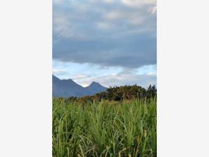 Terreno en venta en Comala, Comala, Colima Terreno en venta en Comala, Comala, Colima