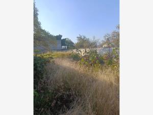 Terreno en venta en Las Fincas, Jiutepec, Morelos Terreno en venta en Las Fincas, Jiutepec, Morelos