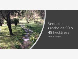 Terreno en venta en Puerto Carbonera, Arteaga, Coahuila de Zaragoza Terreno en venta en Puerto Carbonera, Arteaga, Coahuila de Zaragoza