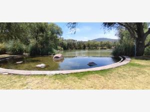 Terreno en venta en La Noria, Huimilpan, Querétaro Terreno en venta en La Noria, Huimilpan, Querétaro