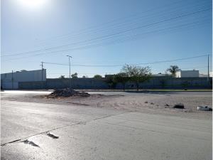 Terreno en renta en La Union, Torreón, Coahuila de Zaragoza Terreno en renta en La Union, Torreón, Coahuila de Zaragoza
